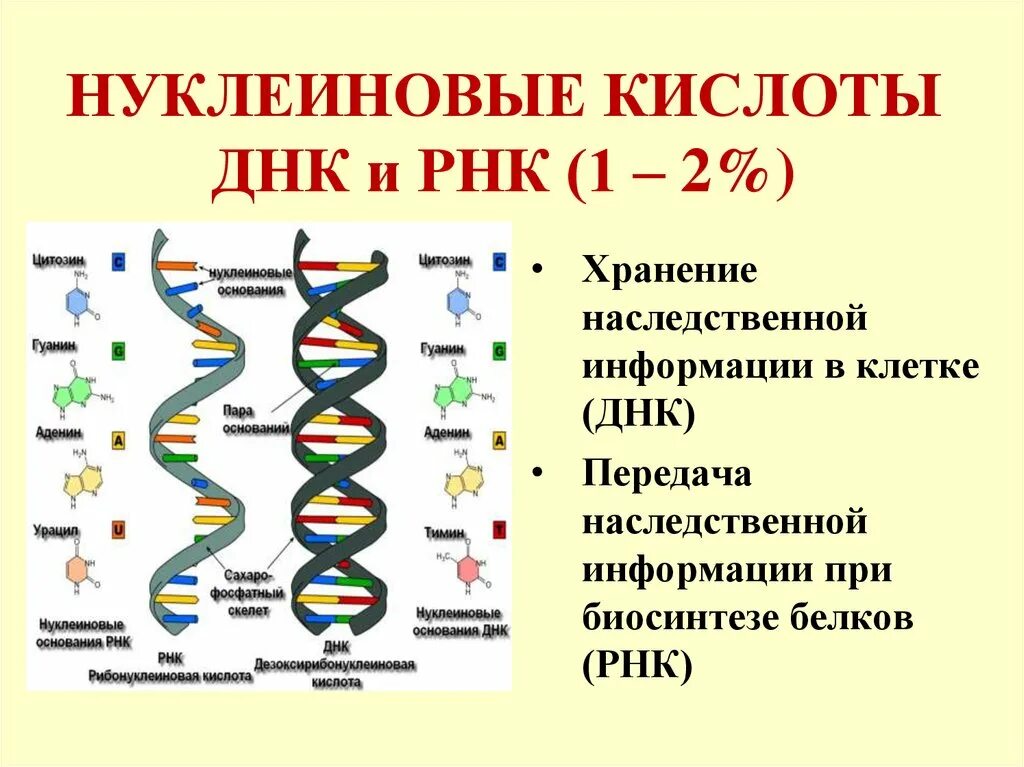 Хранение рнк