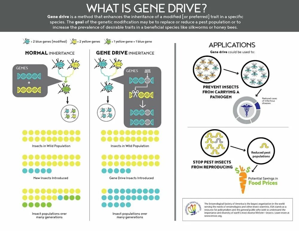 Dr method. Lean менеджмент. Dr method. Изучение английского по методу пимслера. Dr method.