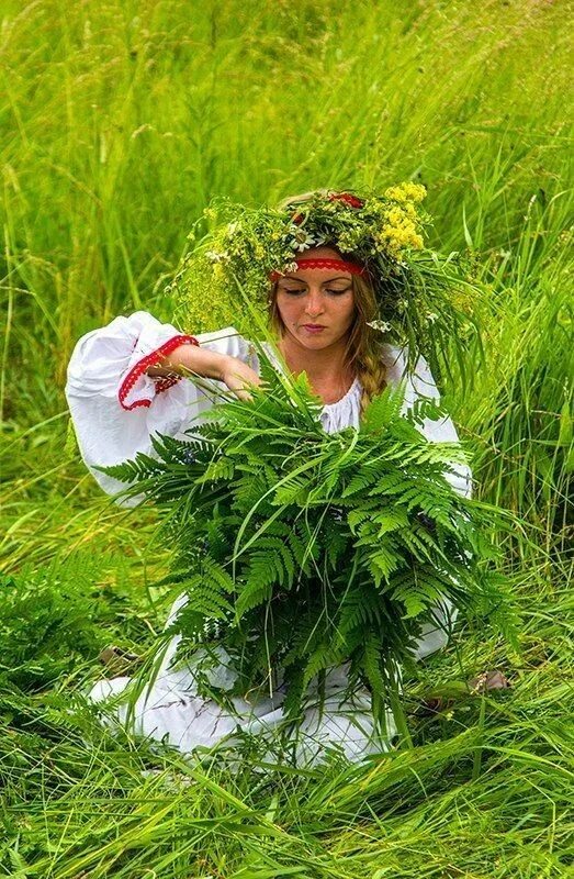 Купала растение. Собирание трав на ивана купала. Купальские травы. Славянский венок. Венок на троицу.