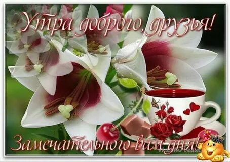Видео для ватсап с добрыми пожеланиями