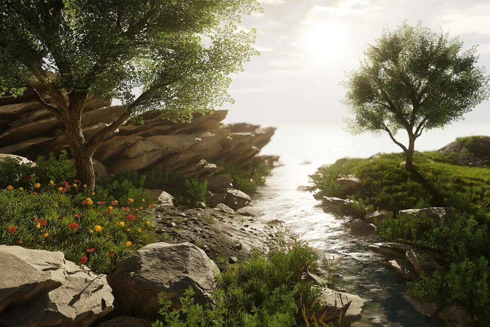 Custom environment