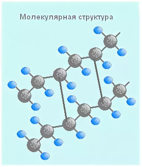 Молекулярное строение живого