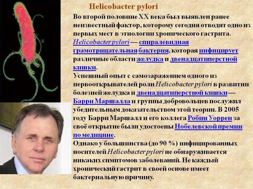 Причины появления хеликобактера. Гастрит бактерия Helicobacter pylori симптомы. Проявление хеликобактер пилори. Бактериальная инфекция хеликобактер пилори. Бактерии от хеликобактер пилори.