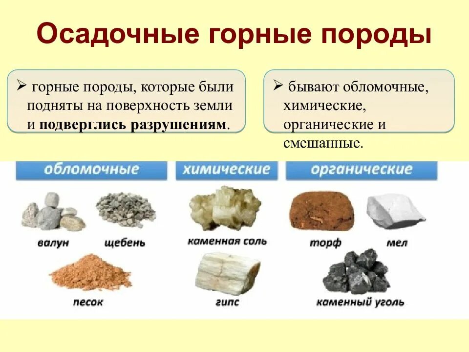 Вяжущее 4 буквы