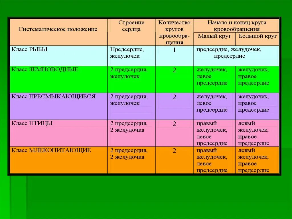 Выберите предложения в которых охарактеризованы идиоадаптации. Ароморфозы и идиоадаптации у растений и животных таблица. Лабораторная работа выявление ароморфозов у растений. Ароморфозы растений. Выявление ароморфозов и идиоадаптаций у растений.