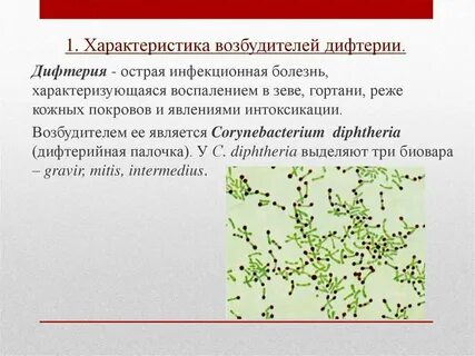 Возбудители парентеральных инфекций