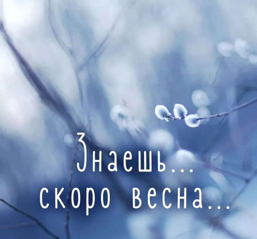 Цитаты про март. Весенние цитаты. Статусы про весну. Цитаты про весну. Весна цитаты красивые.