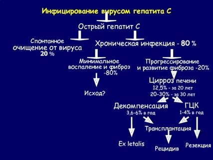 Хр вирусный гепатит с