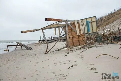 Новость коса