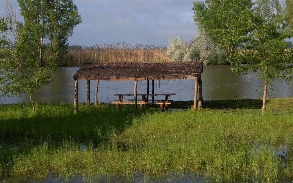 Каспийская вобла. Село зеленга астраханская область. Астрахань станья. База астрахань рыбалка. База рыбака астрахань.