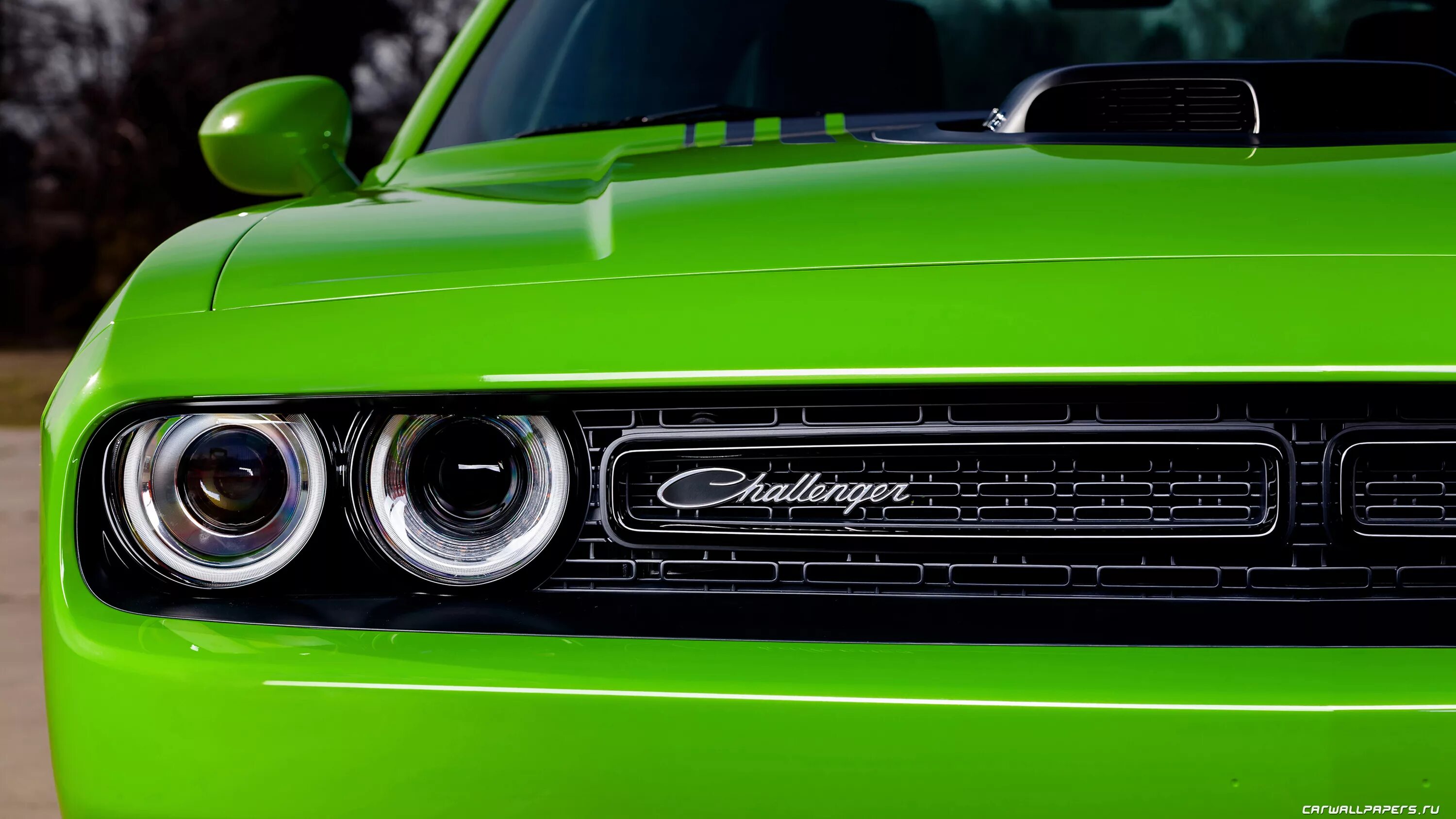 Обои додж челленджер. Dodge Challenger 4к. Додж Челленджер машина зеленая. Dodge Challenger 4k. Dodge Challenger Shaker 5.7.