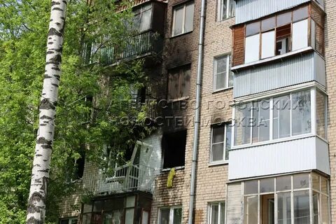1 я пролетарская 6а мытищи