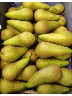 Груша конференция описание