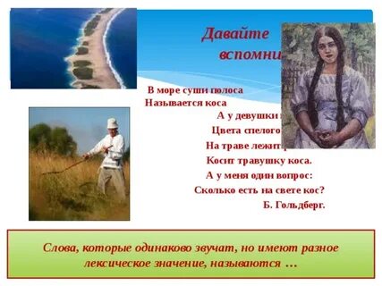 Предложение слова коса