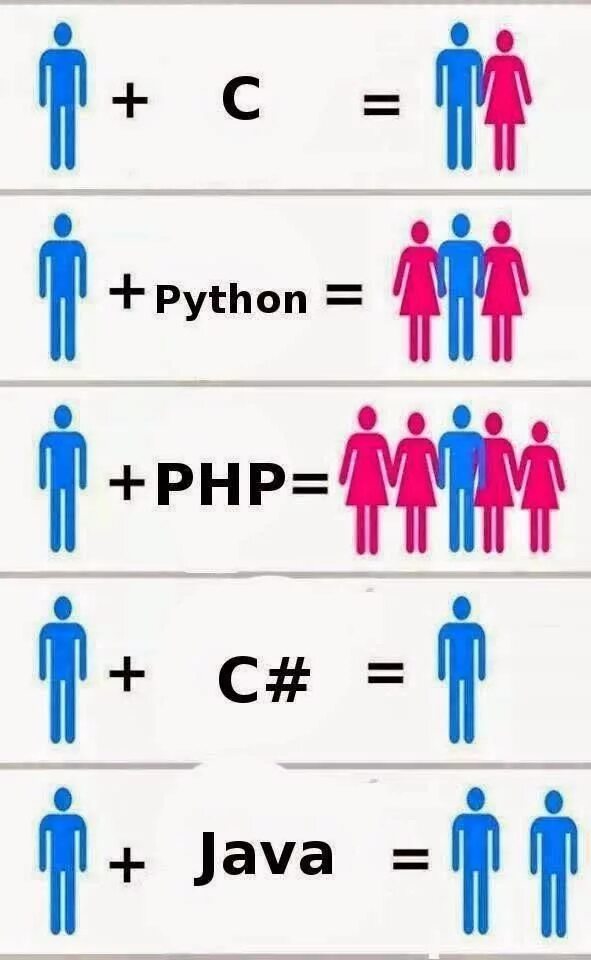 Шутки про языки программирования. Языки программирования Мем. Шуточные языки программирования. Мемы про языки программирования.