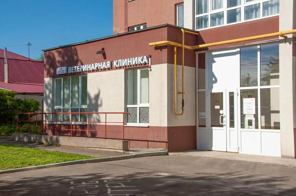 Ветеринарная клиника кохомское шоссе. Иваново пр строителей 31. Котонай иваново шубиных 26 б. Ветлечебница ивановское. Ветлечебница ивановское.