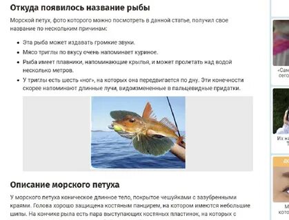 Прогноз петушки