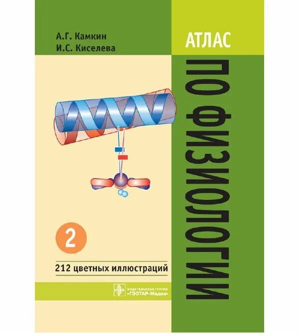 Фундаментальная и клиническая физиология камкин. Атлас по физиологии. Физиология методическое пособие. Фундаментальная и клиническая физиология. Камкин нормальная физиология.