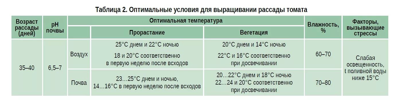 Через сколько всходит рассада капусты после посева. Температурный режим для перцев и томатов в теплице. Оптимальная температура для высадки рассады томатов. Таблица высадки рассады томатов. Температурный режим для помидоров в теплице.