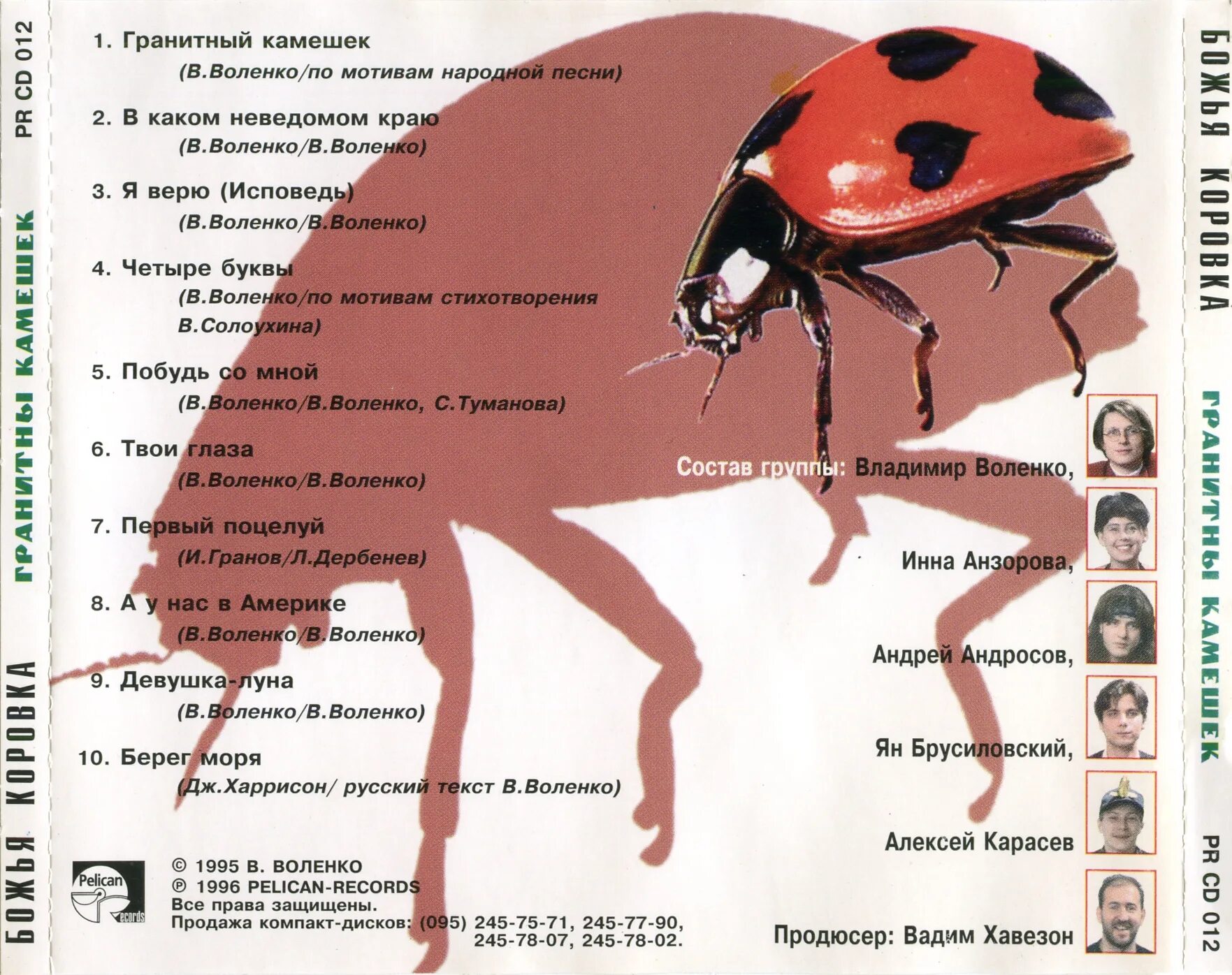 Божья коровка части. Божья коровка гранитный камушек 1995. Строение Божьей коровки. Божья коровка строение тела. Внешнее строение Божьей коровки.