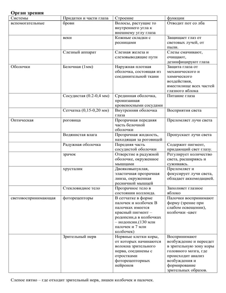 Таблица орган зрения 8 класс