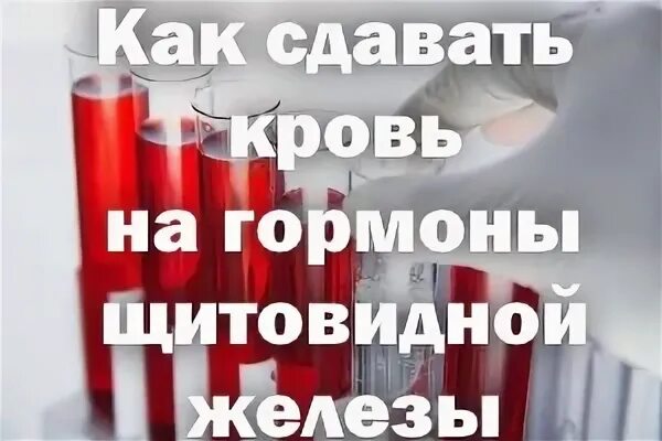 Кровь нужно сдавать натощак или нет. Кровь на гормоны. Гормональные исследования крови. Подготовка к сдаче крови на гормоны. Исследование гормонов щитовидной железы пробирка.