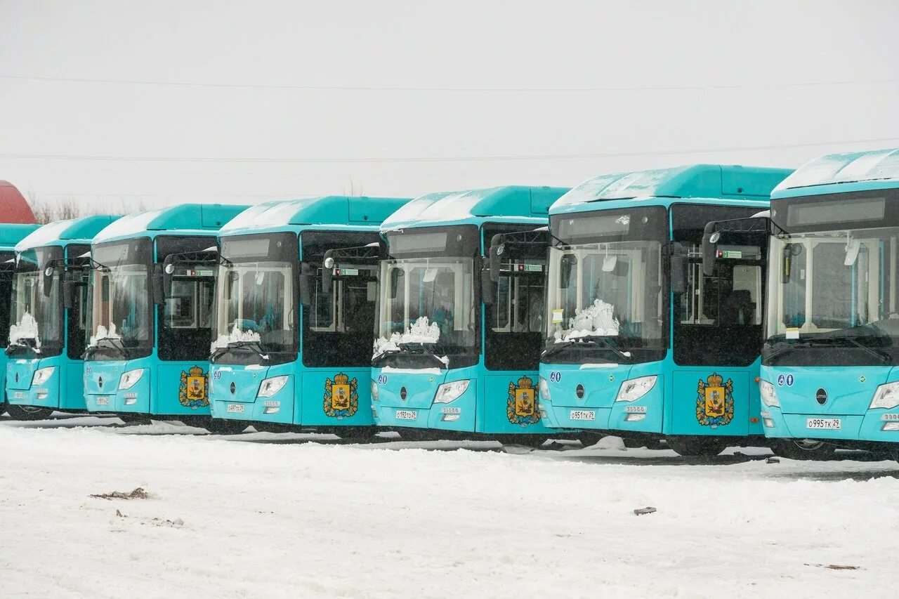 Автобусы Рико Архангельск. Городской транспорт. Городской автобус. Современные автобусы.