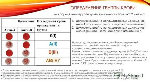 При отсутствии агглютинации с реагентами