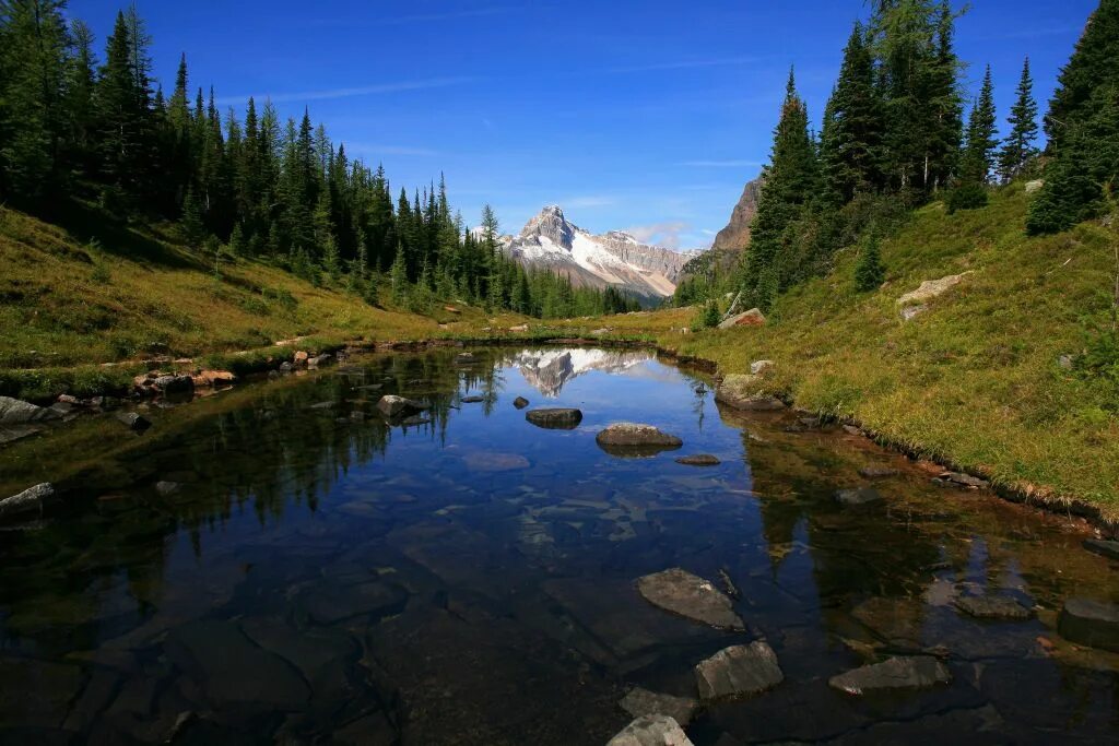 Северо запад америки. Северо запад сша природа. северо запад америки фото. северо запад сша фото в 2к.