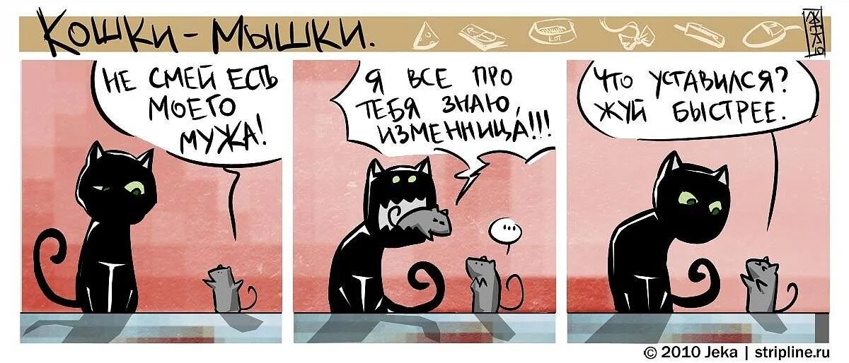 Кошки подобрать слово