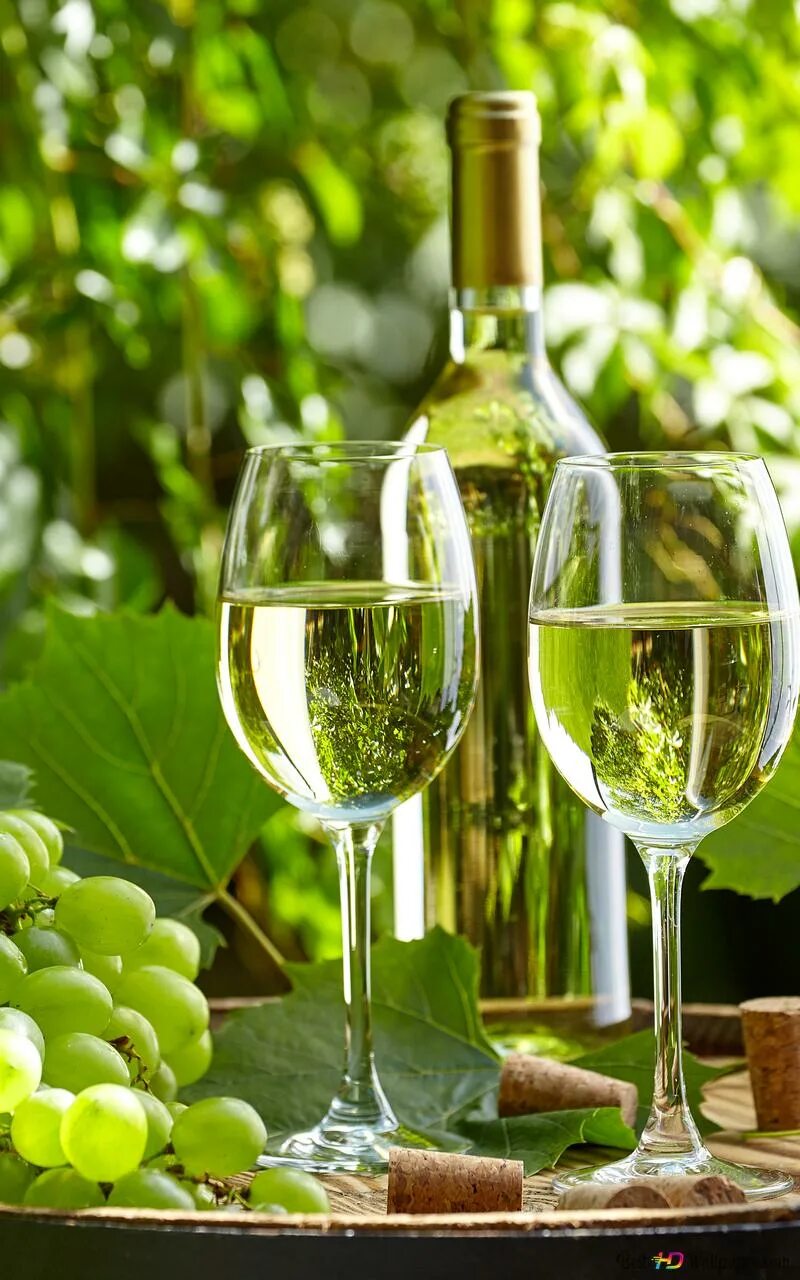 Вино и виноград. Виноград в бокале. Белое вино. Белое вино в бокале и виноград.