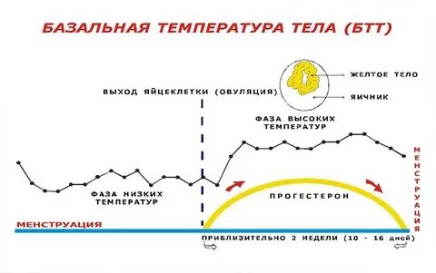 Сат температура