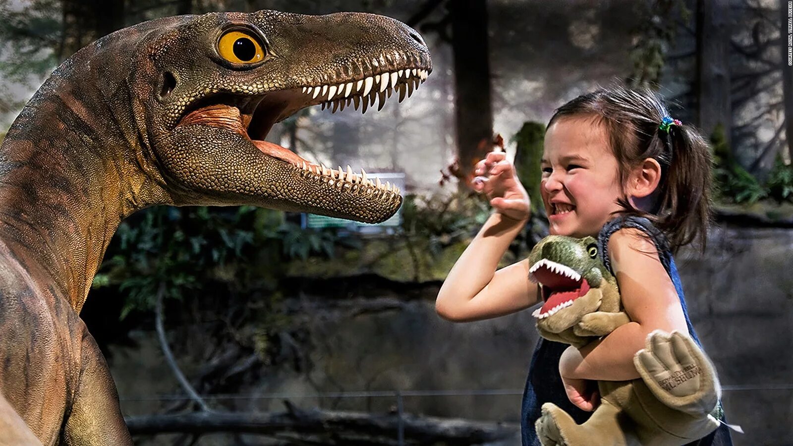 Тироназавр рекс динозавры. Baryonyx динозавр. Живые динозавры. Живые динозавры. Включи живые динозавры.