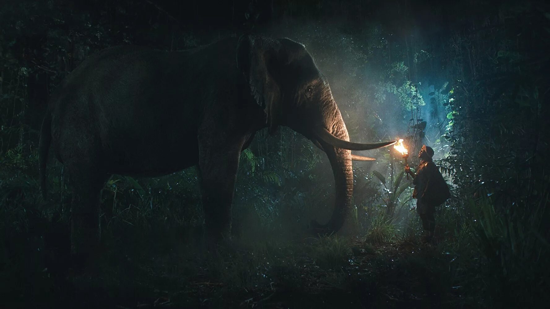 Jumanji jungle