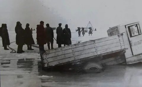 Леса по дороге жизни