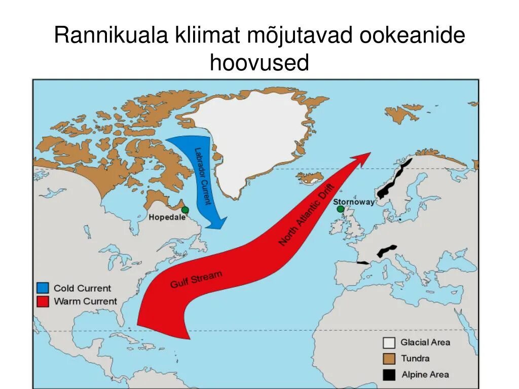 Калифорнийское течение холодное. Холодное течение Лабрадорское. Презентация Лабрадорское течение. Где на карте находится течение KF,hfljhvrjtв.