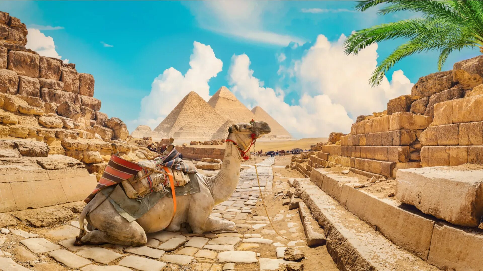 Египет из челябинска 2024. Луксор Египет экскурсия. Хургада пирамиды Гизы Египет. Египет Шарм Эль Шейх пирамиды Каир. Каир Египет экскурсии.