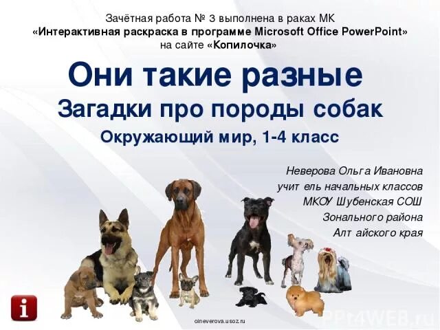 Загадки про животных собака. Загадка про щенка. Загадки про породы. Загадки про разные породы собак. Загадка про собаку для детей 3-4 лет.