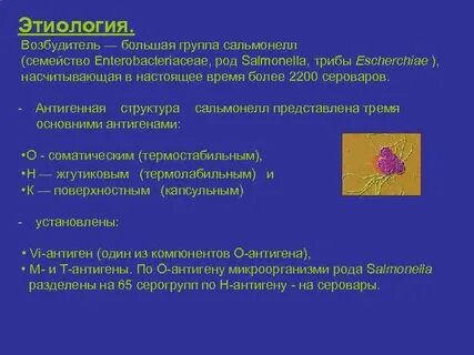Антигенная структура сальмонелл