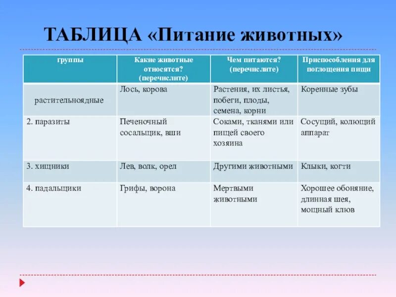 Таблица животных биология 5 класс. Таблица по биологии 6 класс питание животных. Типы питания животных таблица 6 класс. Способы питания животных таблица. Таблица животных по типу питания 2 класс.