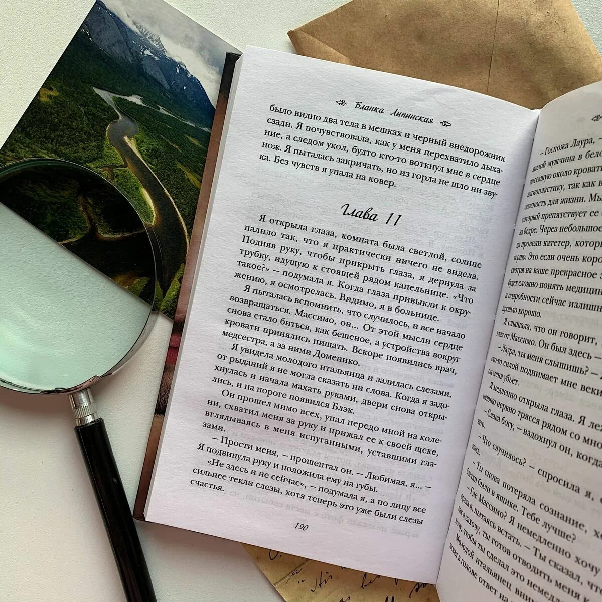 365 дней 2. Этот день книга бланка. Домовая книга форма 11. 365 книга. Кассовая книга, форма ко-4.