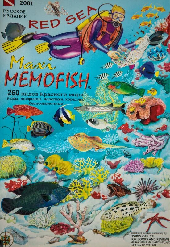 Красноморский ринекант пикассо. Каталог красного моря. Атлас рыб красного моря. Рыбки красного моря с названиями. Рыбы красного моря определитель.