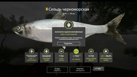 Рр4 махи