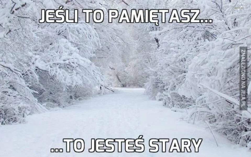 Люди зимы. Переживем ли зиму. Замерзший котенок. Девушка зимой. Кот замерз.