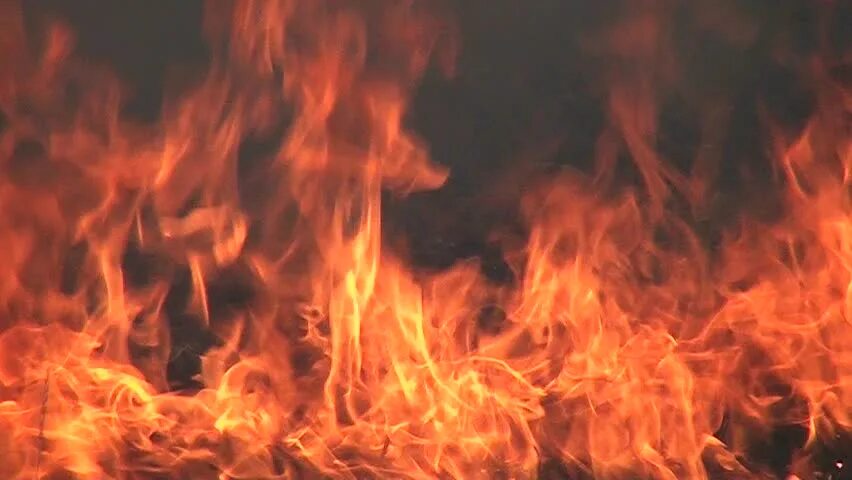 Адидас континенталь баскетбольные кроссовки. Безумный apk. Insignia mod. Vermillion red crazy color цвет. Crazy fire.