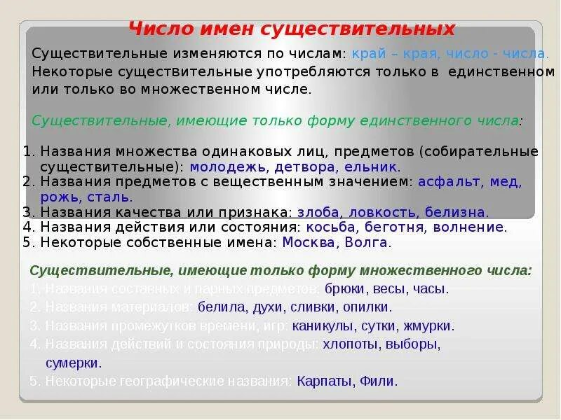 Существительные в единственном числе. Существительное в единственном числе. Которые употребляются только в единственном числе:. Существительные только в единственном числе. Суета множественное