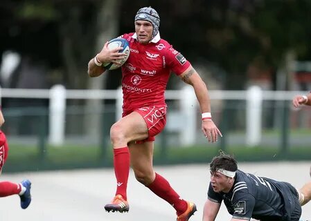 Scarlet fever rugby