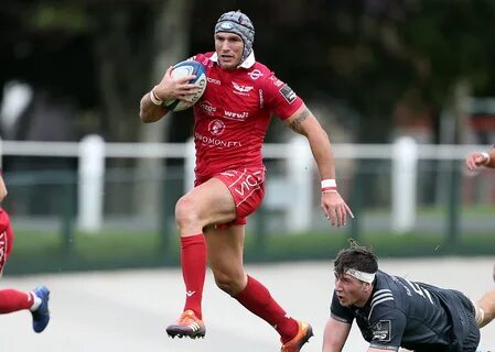 Tom James to retire from professional rugby Scarlets Rugby.