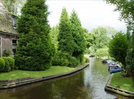 Best holland