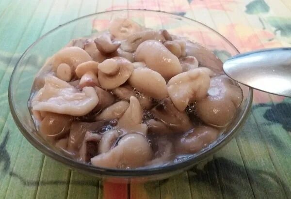 Как мариновать маслята рецепт с уксусом. Маслята маринованные. маслята солёные. маслята мелкие маринованные. маслята на зиму.